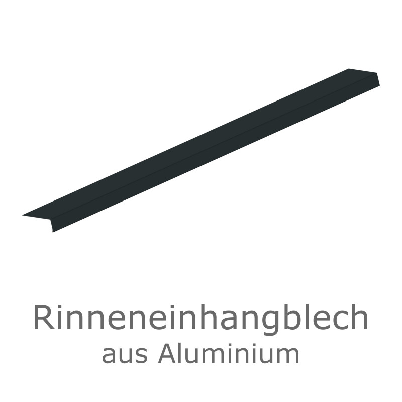 Rinneneinhang