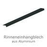 Rinneneinhang